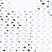Image du produit 16